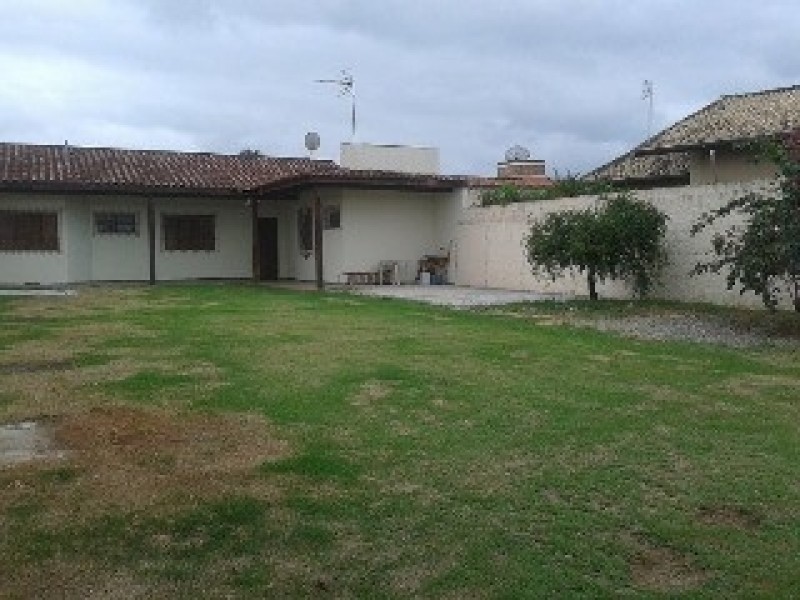 7121.jpg
